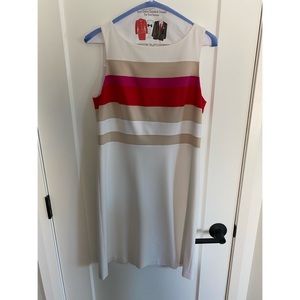 White House Black Market Sleeveless Very Summery Dress